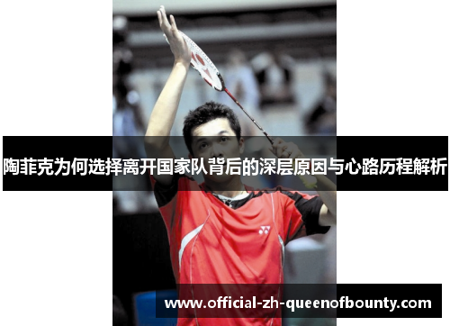 陶菲克为何选择离开国家队背后的深层原因与心路历程解析